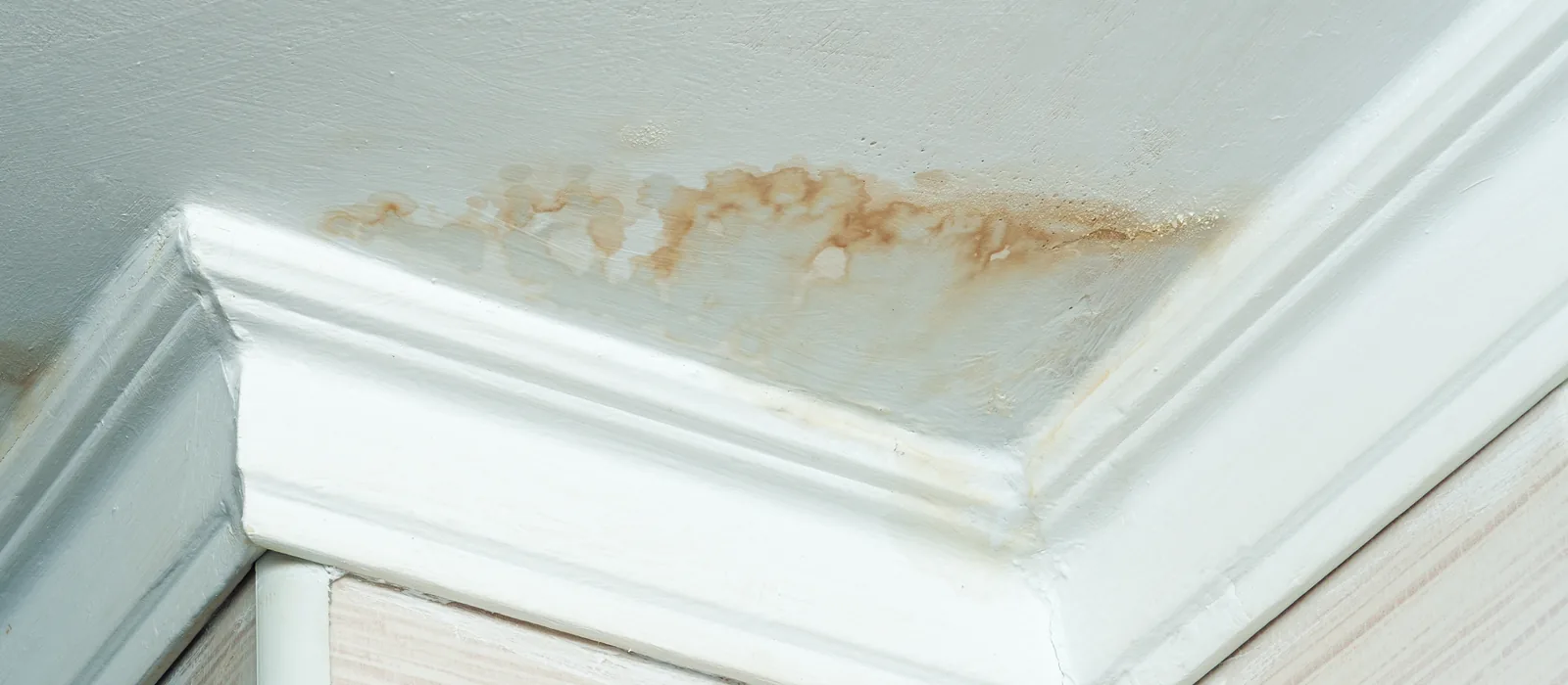 Brown water stain spreading across a white ceiling near the wall junction