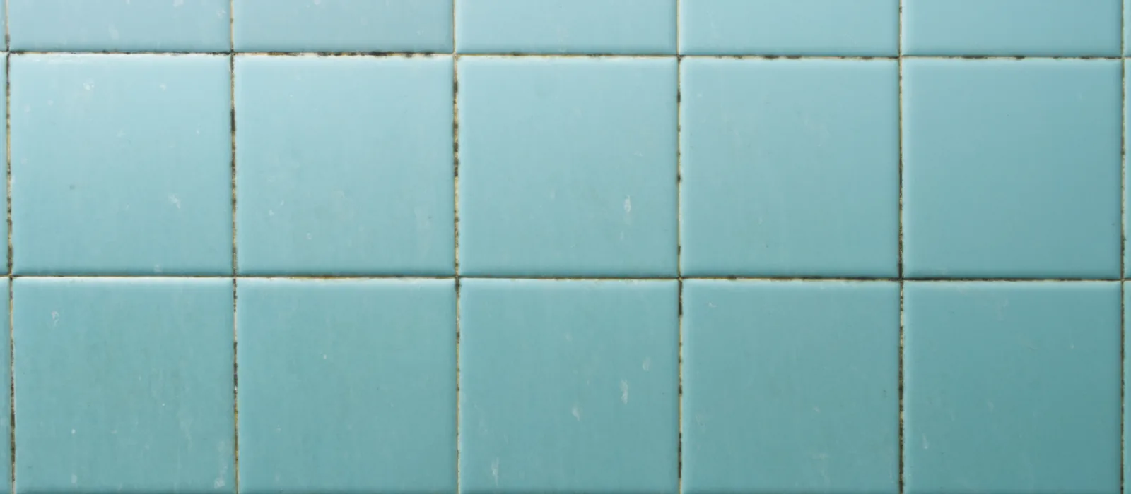 Mold growing in the grout lines of a teal tiled bathroom wall